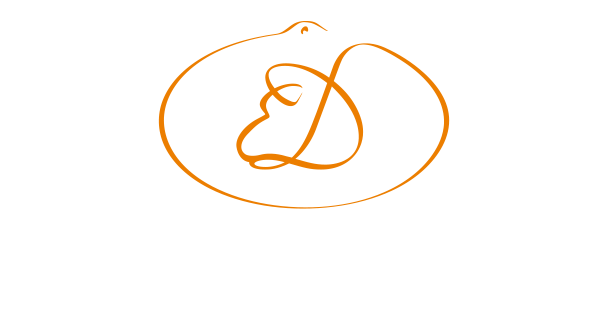 Ecuries des Dalennes Saint Remy